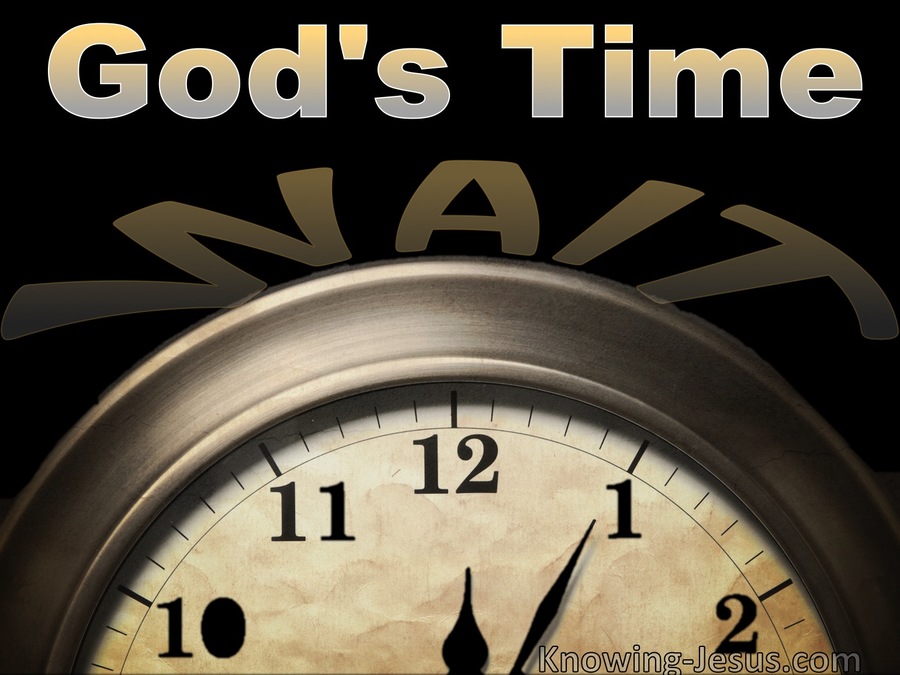 Wait God's Time (devotional)07-08 (brown)